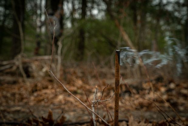 Tink's Smokin' Sticks | All-Season