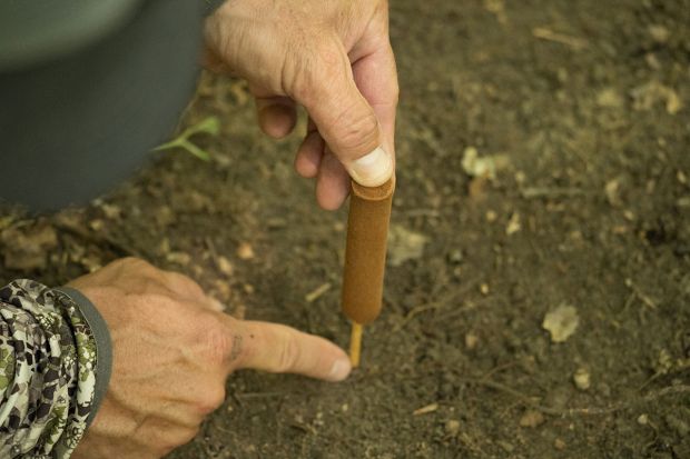 Tink's Smokin' Stogies - Synthetic #69 Doe-In-Rut | W6115