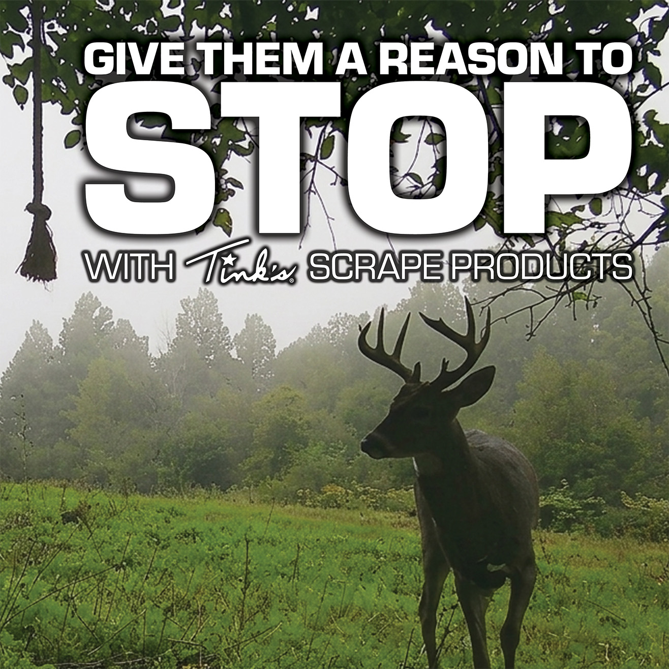 Pair Trail Cameras with Tink's® Scrape Products for Better Deer Inventory